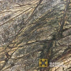 Rain Forest Brown Leathered Marble